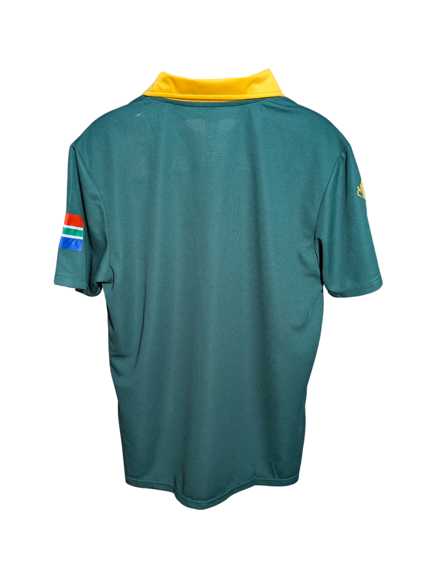Springbok RWC Champions Golfer