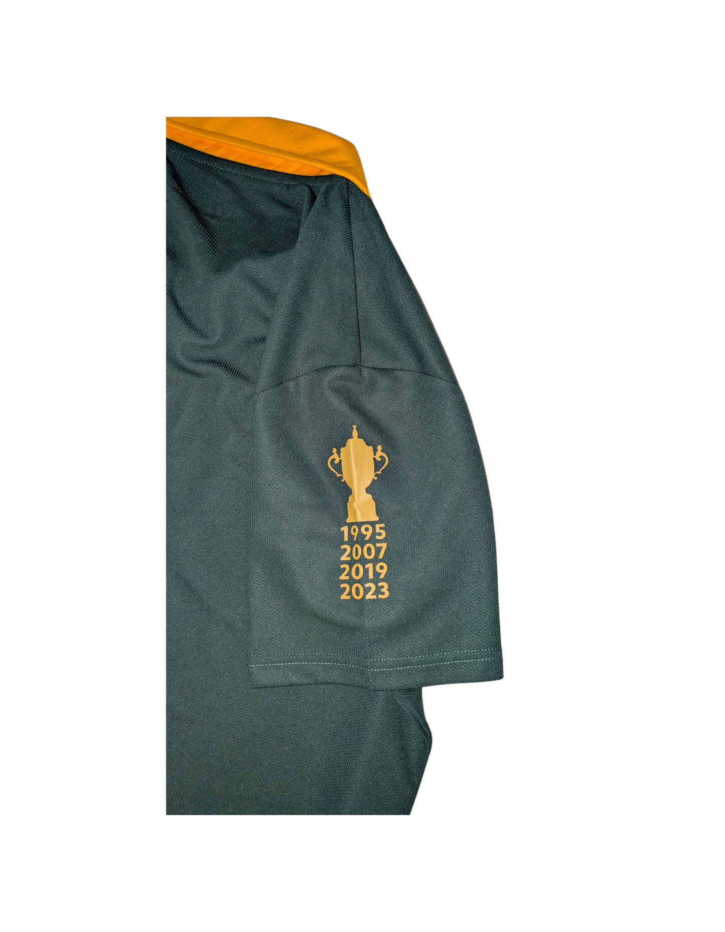 Springbok RWC Champions Golfer